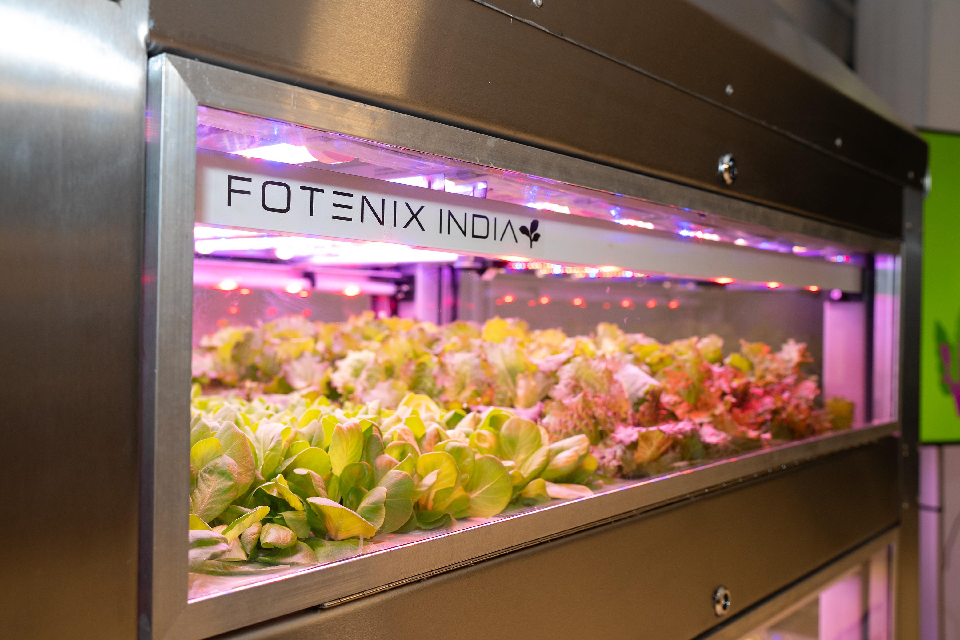 Farm Urban growing container 
