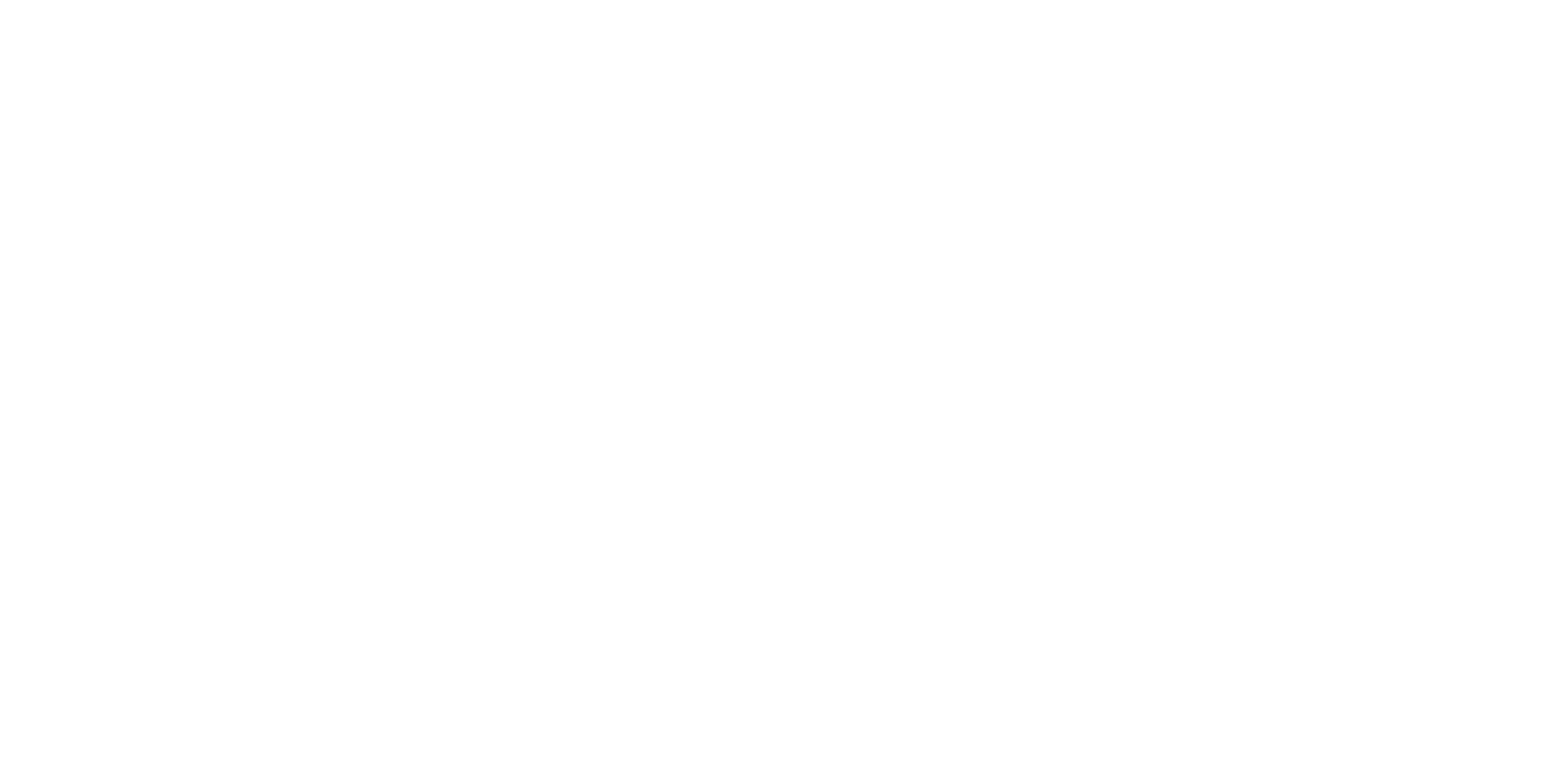 TIC Logo